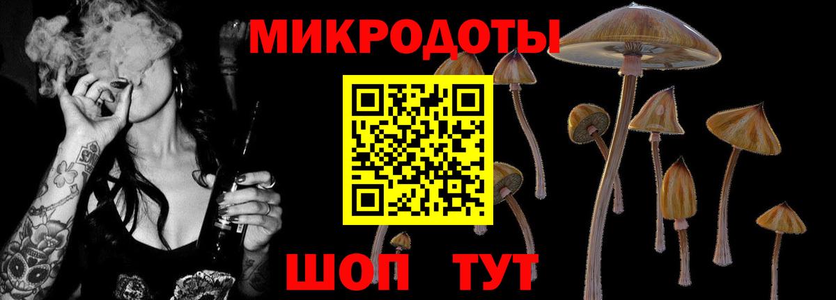 Галлюциногенные грибы Cubensis  купить наркоту  Малоярославец  Вход с VPN 